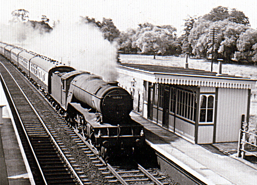 arlesey station steam train